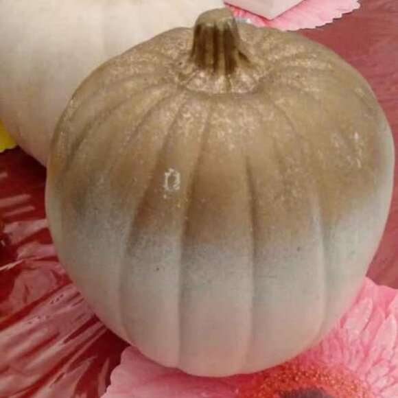 Bundle Decorative Pumpkins Table Scape Thanksgiving Halloween Fall Decor - Picture 3 of 7